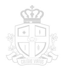 Logo Brasão colegio virtus